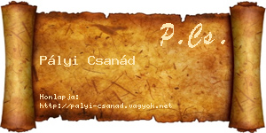 Pályi Csanád névjegykártya
